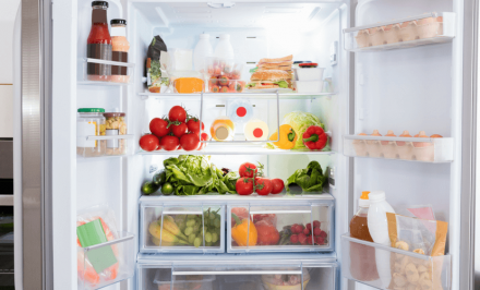 refrigerators and freezer