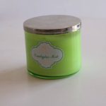 White Barn Eucalyptus Mint Scented Candle