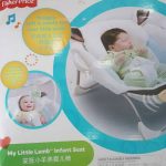 Fisher Price Infant Seat