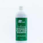 We Naturals Peppermint Black Soap Shampoo