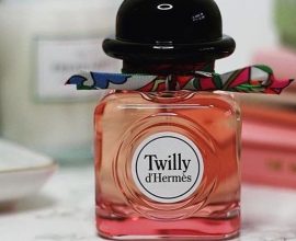 twilly d hermes
