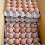 Crates Of Eggs