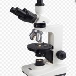 Microscope - OM339P Transmitted Light Polarizing Microscope