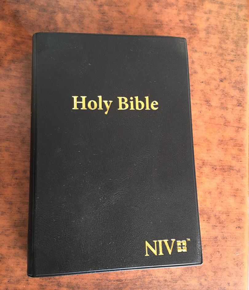 niv bible