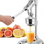 Hand press citrus juicer