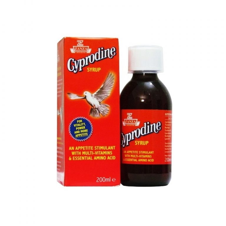Weight Gain Syrup | Reapp.com.gh