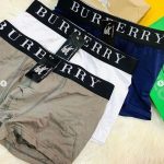 Burberry Briefs For Men (Pack of 3)