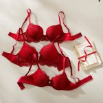 Red Brassiere