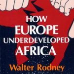 How Europe Underdeveloped Africa Book