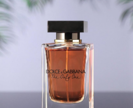 dolce and gabbana the one