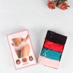 Sexy Satin Lace Panty 4in1 Box