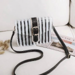 Clear Stripes Summer Satchel Bags