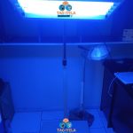 Phototherapy Unit (Blue Light)