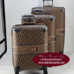 Christian Dior Luggage