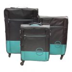 Black and Blue Luggage