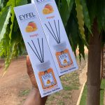 Eyfel Mango Reed diffusers available