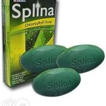 Edmark Splina Chlorophyll Tablet Soap