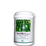Green World Lecithin Capsule - Supplement / Vitamins