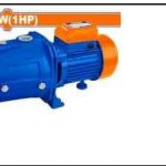 Wadfow Water Pump 1.0hp