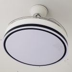 Luxury Ceiling Fan With Lights