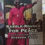 Rabble Rouser For Peace Book
