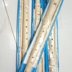 Plastic Flute or Recorder