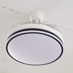 Modern Fan With Light