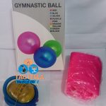 Gymnastic Exercises Ball (65cm)
