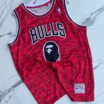 Bape Chicago Bulls Jersey
