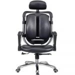 Kidney Ergonomic Chair