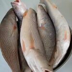 Frozen Cassava Fish In Accra,Ghana