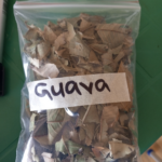 Guava Leaves