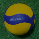 Mikasa Volleyball