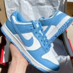 Nike Dunk Low Blue