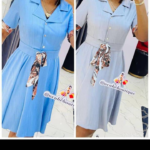 Blue Ladies Office Wear