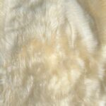 Cream Fluffy Rug