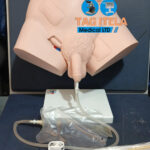 Catheterization Manikin (Male)