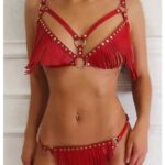 Red Erotic Brassiere and Panty