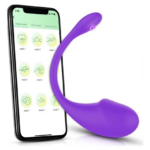 Phone controlled vibrator