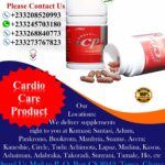 Tasly ICP Cardiotonic Pill aka Danshen Plus Capsule